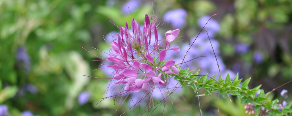 Cabinet d'Hypnose à Brioude